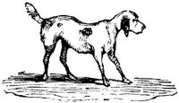 Eac020qq.JPG