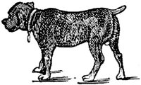 Eac020oo.JPG
