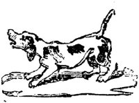 Eac020mm.JPG