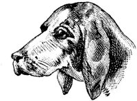 Eac020i.JPG