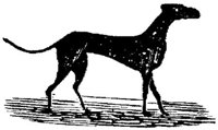 Eac020hh.JPG