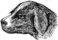 Eac020g.JPG