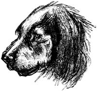 Eac020bb.JPG
