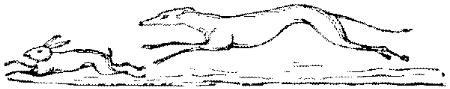 Eac020aa.JPG