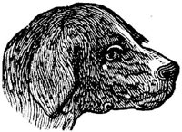 Eac020a.JPG