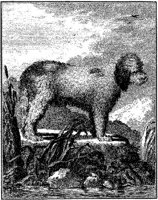 Ani083a.JPG