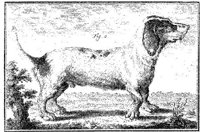 Ani075a.JPG