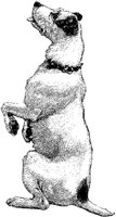 Amb038b.JPG