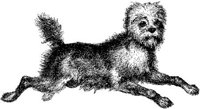 Amb036c.JPG