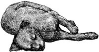 Amb034e.JPG