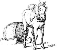 Oes024c.JPG