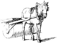 Oes017c.JPG