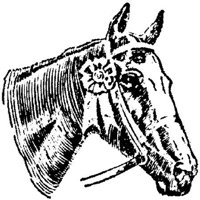 Lac016c.JPG