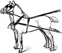 Hdc117f.JPG