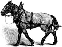 Hdc117e.JPG