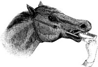 Hdc089p.JPG