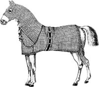 Hdc086j.JPG