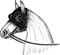 Hdc086a.JPG