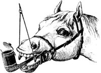 Hdc085i.JPG