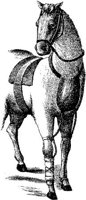 Hdc085h.JPG