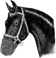 Hdc085b.JPG