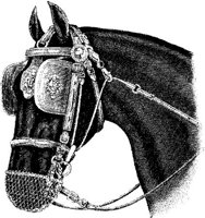 Hdc084i.JPG