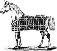 Hdc084d.JPG