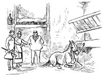 Hdc083b.JPG
