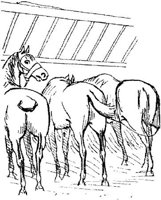Hdc082e.JPG