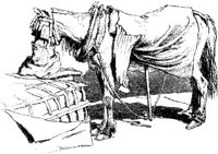 Hdc082c.JPG