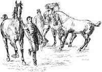 Hdc081a.JPG