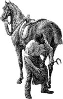 Hdc080d.JPG