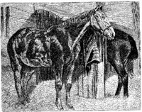 Hdc079g.JPG