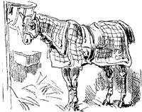Hdc079d.JPG