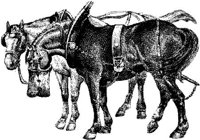Hdc079c.JPG