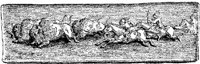 Hdc077f.JPG