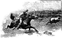 Hdc077b.JPG