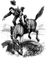 Hdc077a.JPG