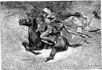 Hdc075e.JPG