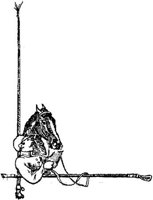 Hdc059d.JPG