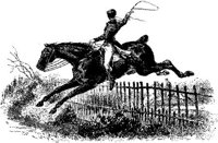 Hdc058d.JPG