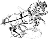 Hdc049c.JPG