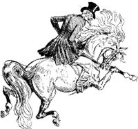 Hdc047d.JPG