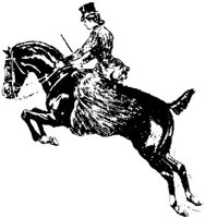 Hdc047c.JPG