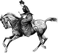 Hdc045i.JPG
