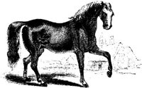 Hdc045f.JPG