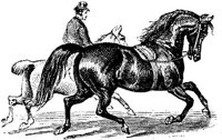 Hdc044a.JPG