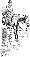 Hdc043d.JPG