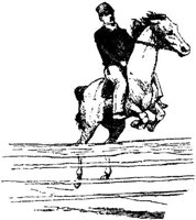 Hdc040e.JPG