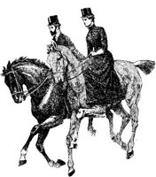 Hdc039d.JPG
